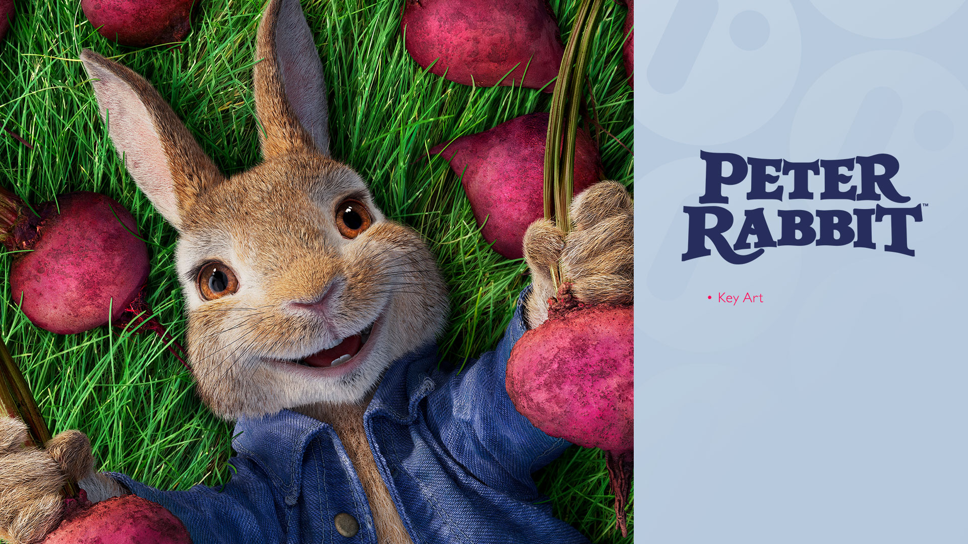 Grafica digitale Peter Rabbit · Creative Fabrica